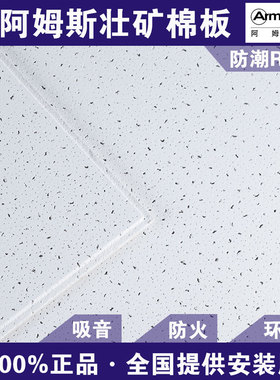 美国阿姆斯壮Armstrong雅丽矿棉板吸音天花T型铝合金烤漆龙骨吊顶