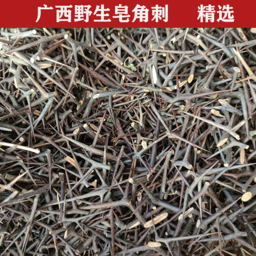 广西足干袋装精选皂角刺