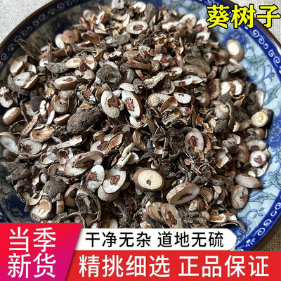 野生中药材葵扇子干品