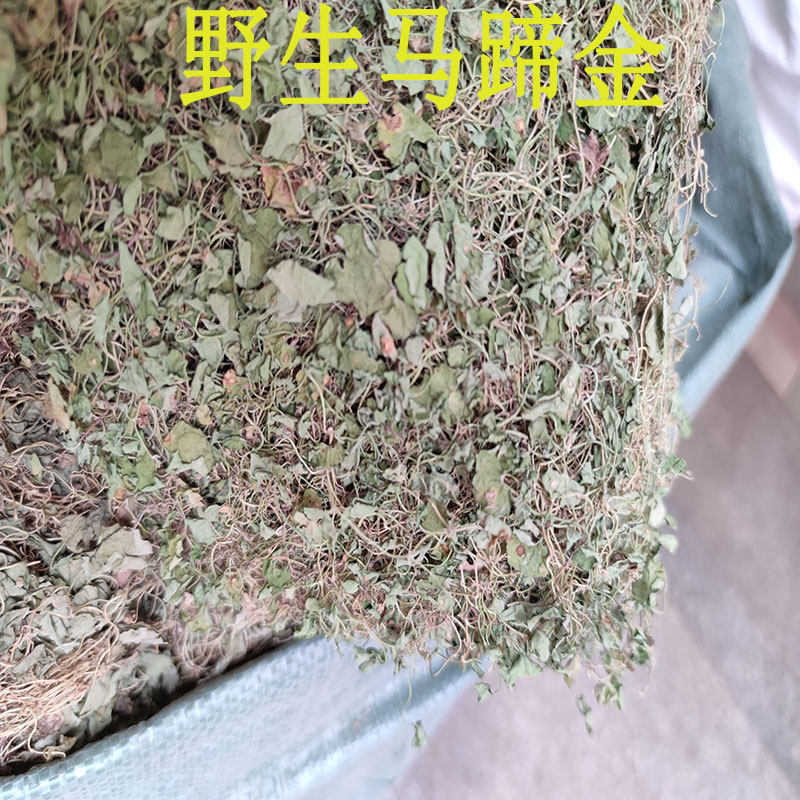 广西野生马蹄金小金钱草荷苞草肉馄饨草金锁匙 小马蹄金500克包邮