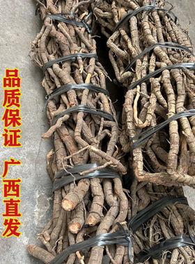 广西野生袋装天然黑老虎根