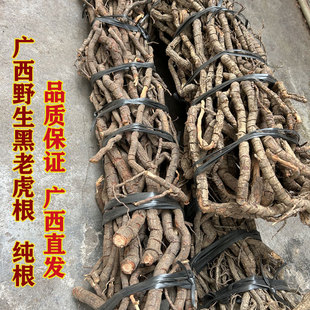 黑老虎根 纯根黑老虎根七件套中药材广西野生 过山风 爆冰 钻骨风