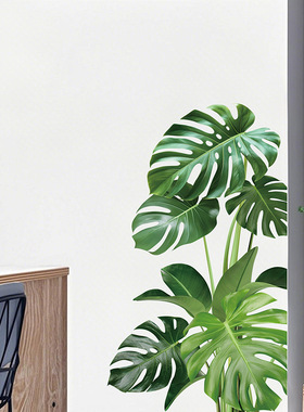 龟背竹绿植家居墙面房间客厅壁纸墙贴画北欧装饰补洞污垢划痕遮瑕