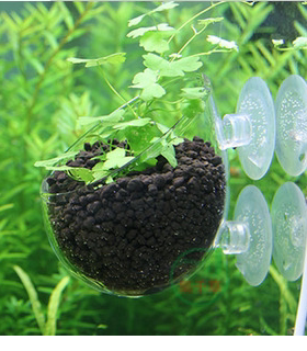 鱼缸水草玻璃杯水族箱饲育造景盆玻璃盆造景杯水草杯吸盘