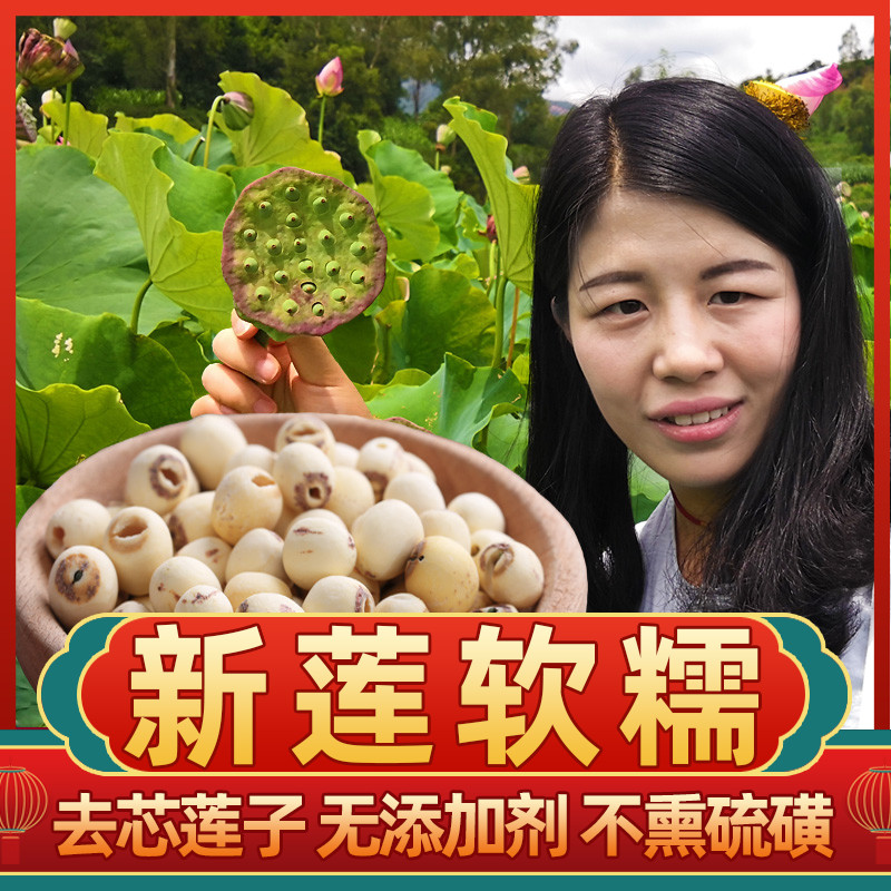 无硫磨皮白莲子干货 去芯 500g包邮农家自产莲米特无芯莲子500g级 粮油调味/速食/干货/烘焙 莲子 原图主图