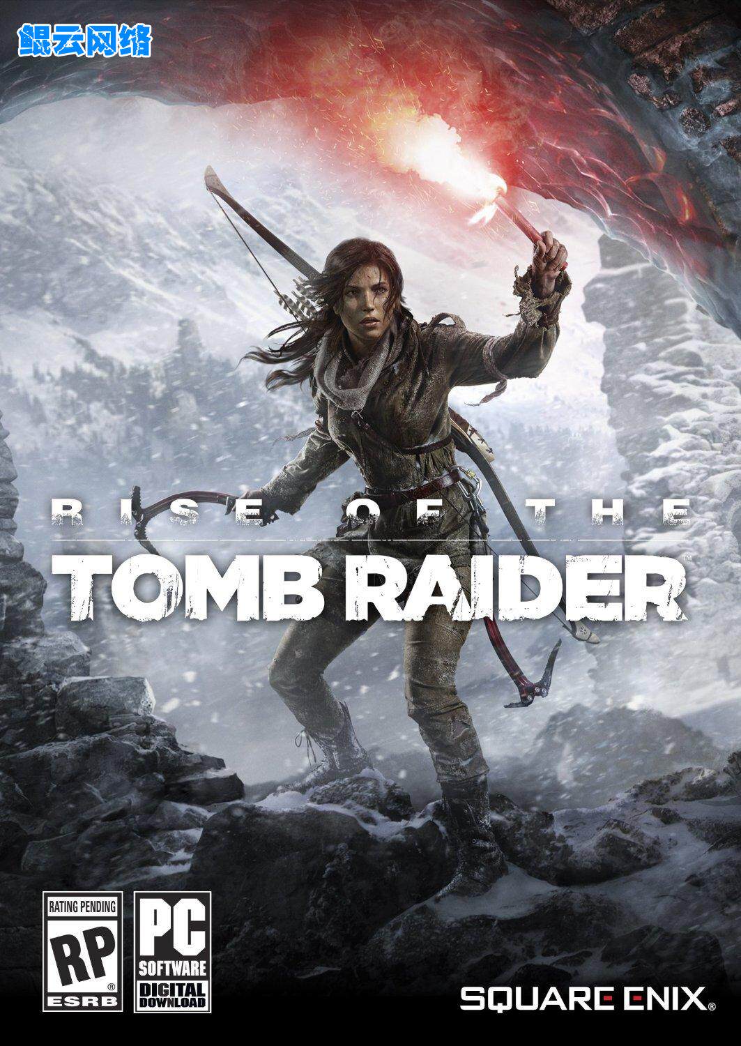 买2送1求生动作冒险PC单机游戏 古墓丽影10崛起中文版全DLC含修改