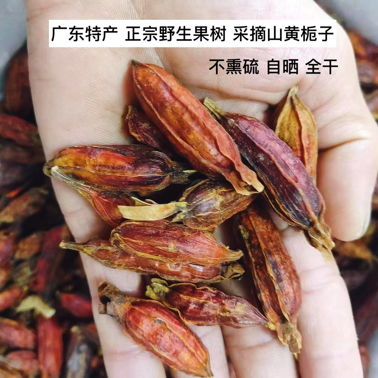 广东野生山栀子果黄栀子泡茶山栀子干品上色调料 食用卤肉 包邮