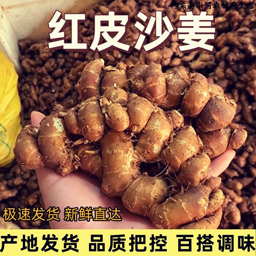 广东阳春正宗红皮沙姜特香山奈