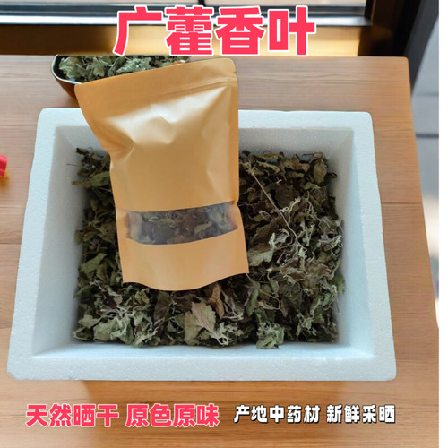 新货广藿香中药广东阳春产地发货