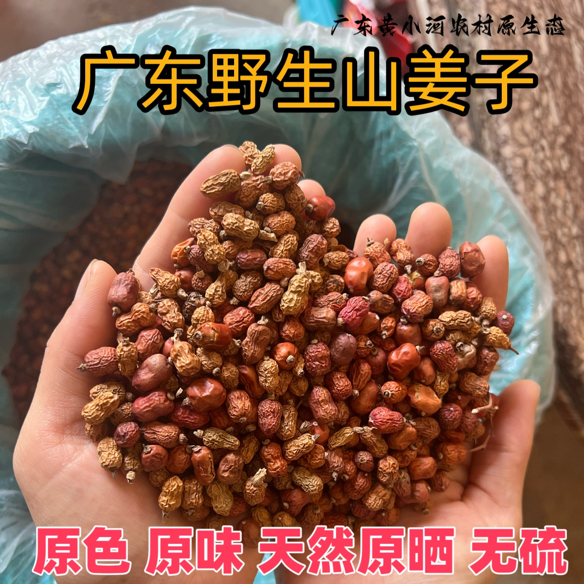 正宗阳春野生山姜子自晒干山姜籽红豆蔻良姜果家用卤味香料原材料