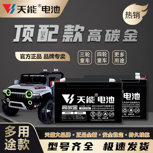 天能童车电瓶3-12岁可玩汽车电池