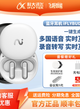 科大讯飞iFLYBUDS2 nano+ Pro2PRO3会议蓝牙耳机录音转写翻译降噪