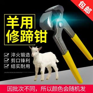 牛羊用修蹄钳胡桃木钳牛羊修蹄工具修蹄剪刀木工拔钉钳子畜牧器械