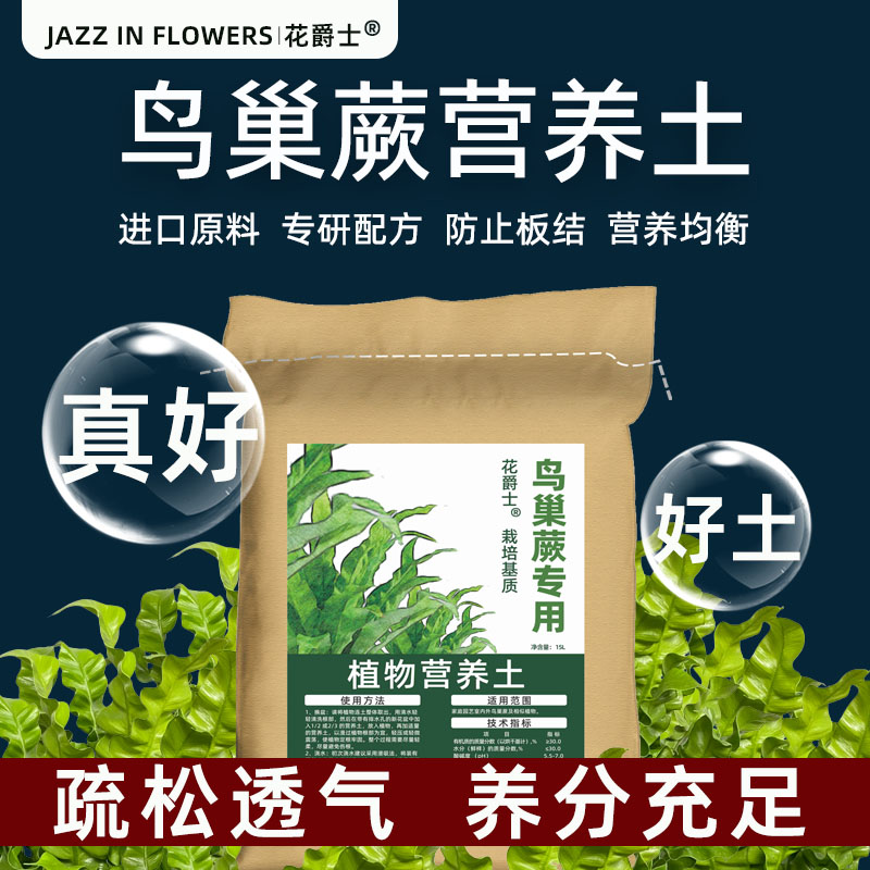 花爵士鸟巢蕨专用土蕨类植物专用营养土巢蕨肥料专用肥水培营养液