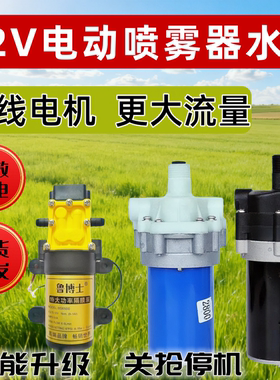 12V三缸2800四缸3000农用电动喷雾器大功率高压力隔膜泵打药泵