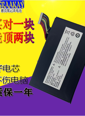 适用火影(VULCAN) 地狱火X5 X6 T90 GE5S02 GI5KN 笔记本电脑电池