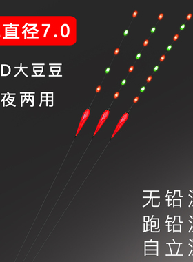 无铅自立漂大物LED夜光跑铅漂5目7目9目珠珠超亮日夜两用青鱼漂