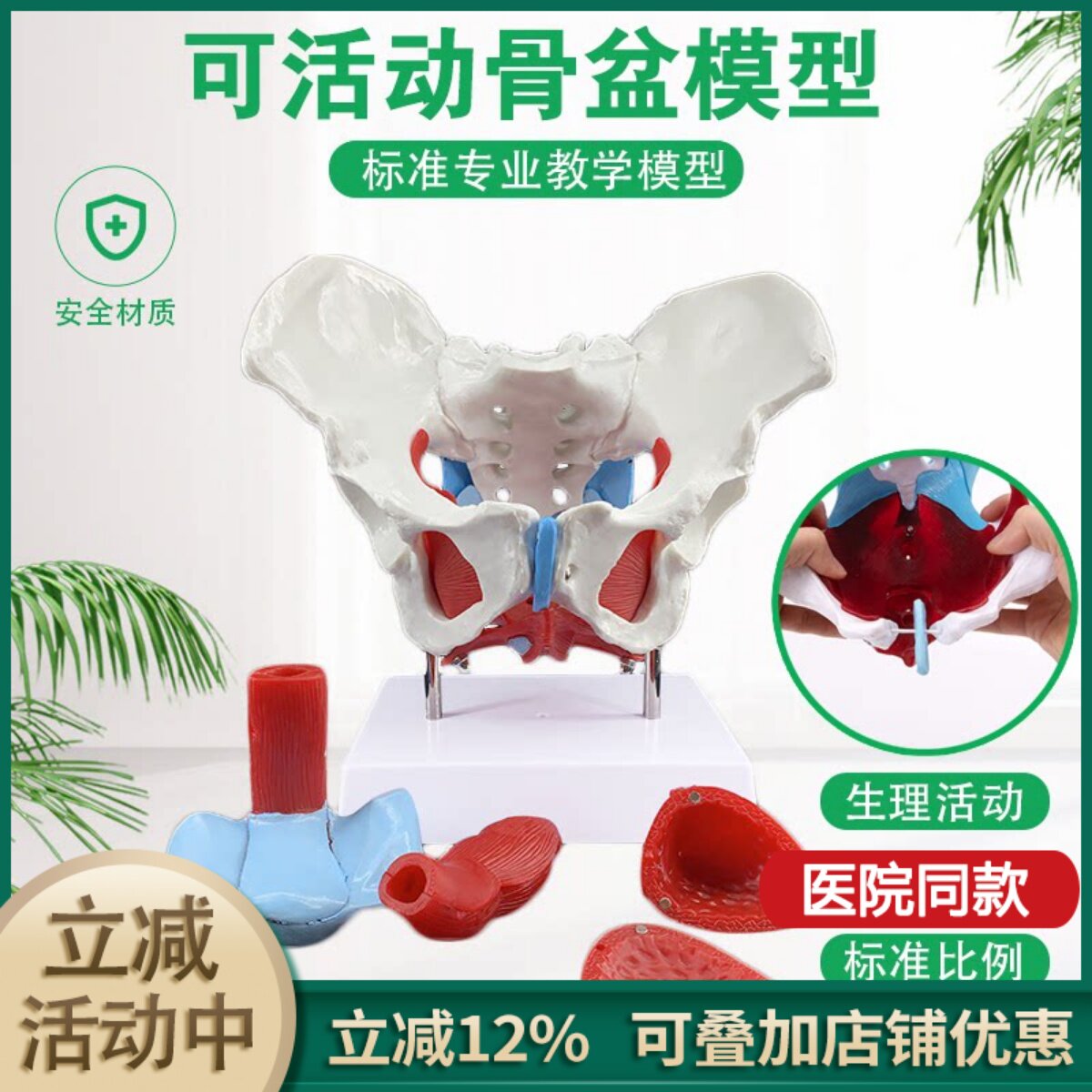 可活动女性骨盆模型及盆底肌模型子宫盆骨分娩助产教学人体模型