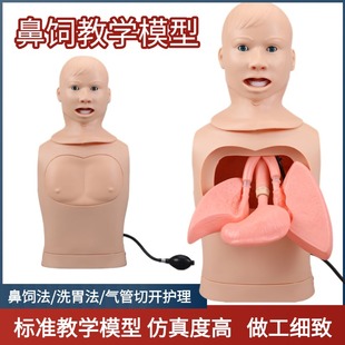 鼻胃管与气管护理模型鼻饲管模具切开吸痰训练气管插管洗胃插胃管