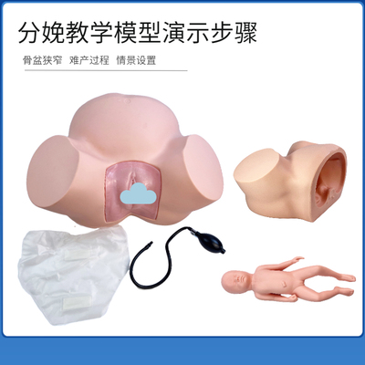 教学难产示教模型妇科模型