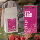 GeeCoffee寻豆师巴拿马迷失大陆庄园浆果瑰夏精品咖啡豆100g