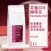 GeeCoffee花魁SOE咖啡豆意式 黑咖花果茶香红酒韵227g 浓缩奶咖美式