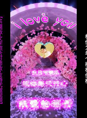 160-2.花海告白布置AE模版生日祝福表白情人节朋友圈小视频制作