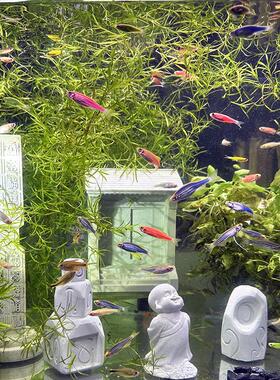 禅意鱼缸造景中式院门栩元水泥