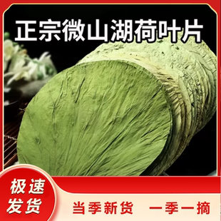 微山湖荷叶整张新鲜干荷叶圆片切片包糯米鸡专用各种尺寸木桶饭
