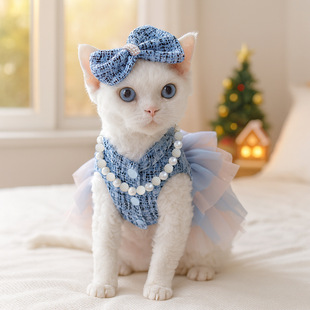 PETCIRCLE宠物小狗猫咪衣服小型犬秋冬新款 香风系列服饰套装