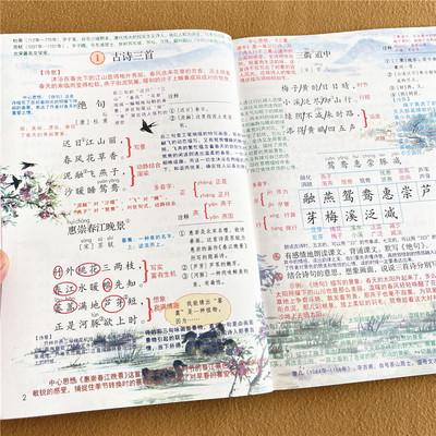 2025秋三年级上册下册课堂笔记