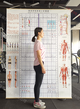 体姿体态评估表站姿势网格体测壁挂画瑜伽身体评估墙健身房背景墙