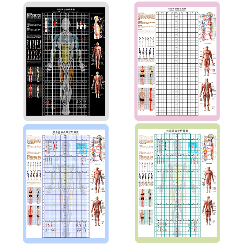 体姿体态评估表健身房瑜伽馆壁画