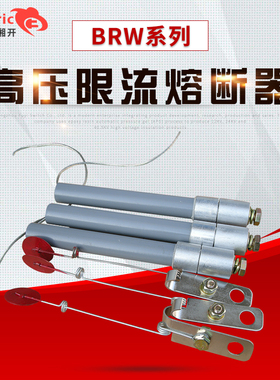 熔管BR2.BRN.BRW-10KV/120A130A150A80A高压电容器专用熔断器