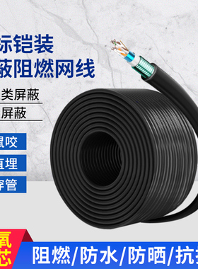 铠装屏蔽网线超五类CAT5E六类CAT6E七类CAT7带铠阻燃线缆防鼠咬
