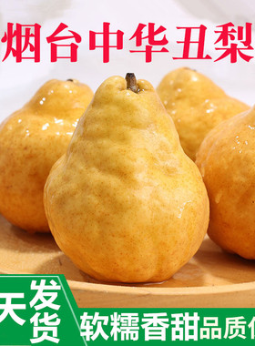 山东烟台中华丑梨莱阳丑梨软糯香甜多汁冰淇淋口感5斤太婆梨啤梨