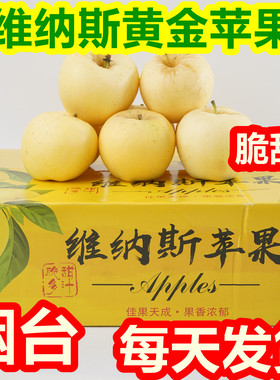山东维纳斯黄金苹果正宗新鲜水果礼盒送礼装整箱烟台雀斑苹果脆甜