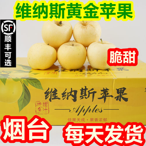 山东维纳斯黄金苹果正宗新鲜水果礼盒送礼装整箱烟台雀斑苹果脆甜