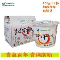 青藏牧场青海酸奶百年 青海老酸奶谷粒150x12杯 箱 清真新鲜包邮