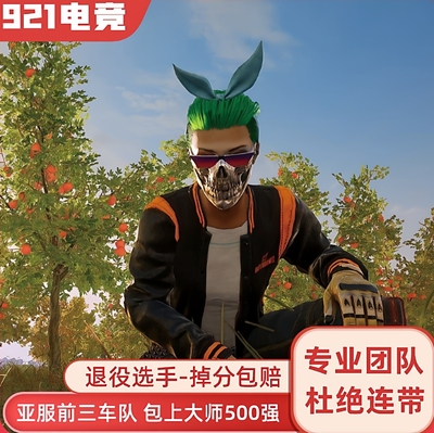 绝地求生PUBG陪打代练竞技上分冲大师生存者保镖匹配娱乐刷KD车队