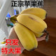 正宗苹果蕉大果 香蕉新鲜5斤自然熟当季 整箱水果粉蕉小米芭蕉香焦