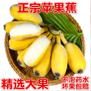 小米蕉芭蕉整箱10 粉蕉孕妇水果当季 新鲜苹果蕉香蕉5斤自然熟 包邮