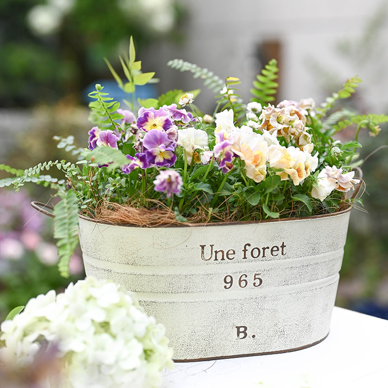 外贸新品ins铁艺复古长条双耳铁皮花盆户外花园阳台庭院装饰摆件,鲜花速递/花卉仿真/绿植园艺,花盆,淘宝优惠券,粉丝福利购,淘宝优惠卷