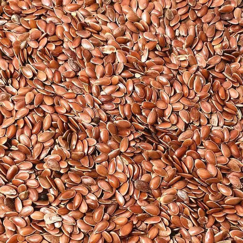 亚麻籽胡麻籽虎皮玄凤牡丹中型鹦鹉鹦鹉玉鸟鸟粮鸟食油性饲料,宠物/宠物食品及用品,鸟食,淘宝优惠券,粉丝福利购,淘宝优惠卷