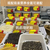 现配现装 增肥粮鹦鹉专用饲料虎皮牡丹玄凤小太阳和尚金太阳鸟食粮