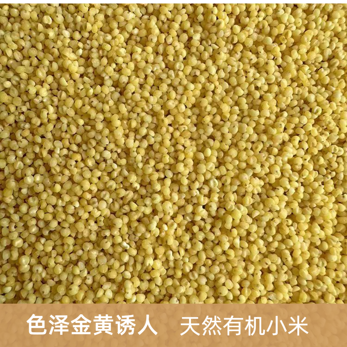 无壳小米鹦鹉专用饲料珍珠鸟虎皮牡丹玄凤幼鸟学吃粮去壳黄谷子