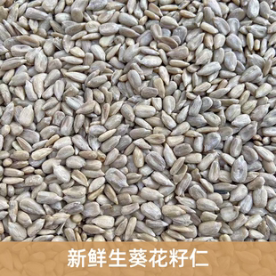 新货鸟粮鸟食小瓜子仁 脱壳瓜子仁油葵籽 鹦鹉鸟食仓鼠零食  鸽粮