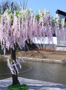仿真紫藤花树婚庆室内装饰大型橱窗景观造景酒店许愿树摆件