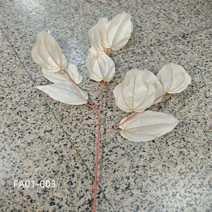 仿真婚庆花艺装饰贝壳叶柚子叶多色仿真叶子单支家居摆件DIY材料