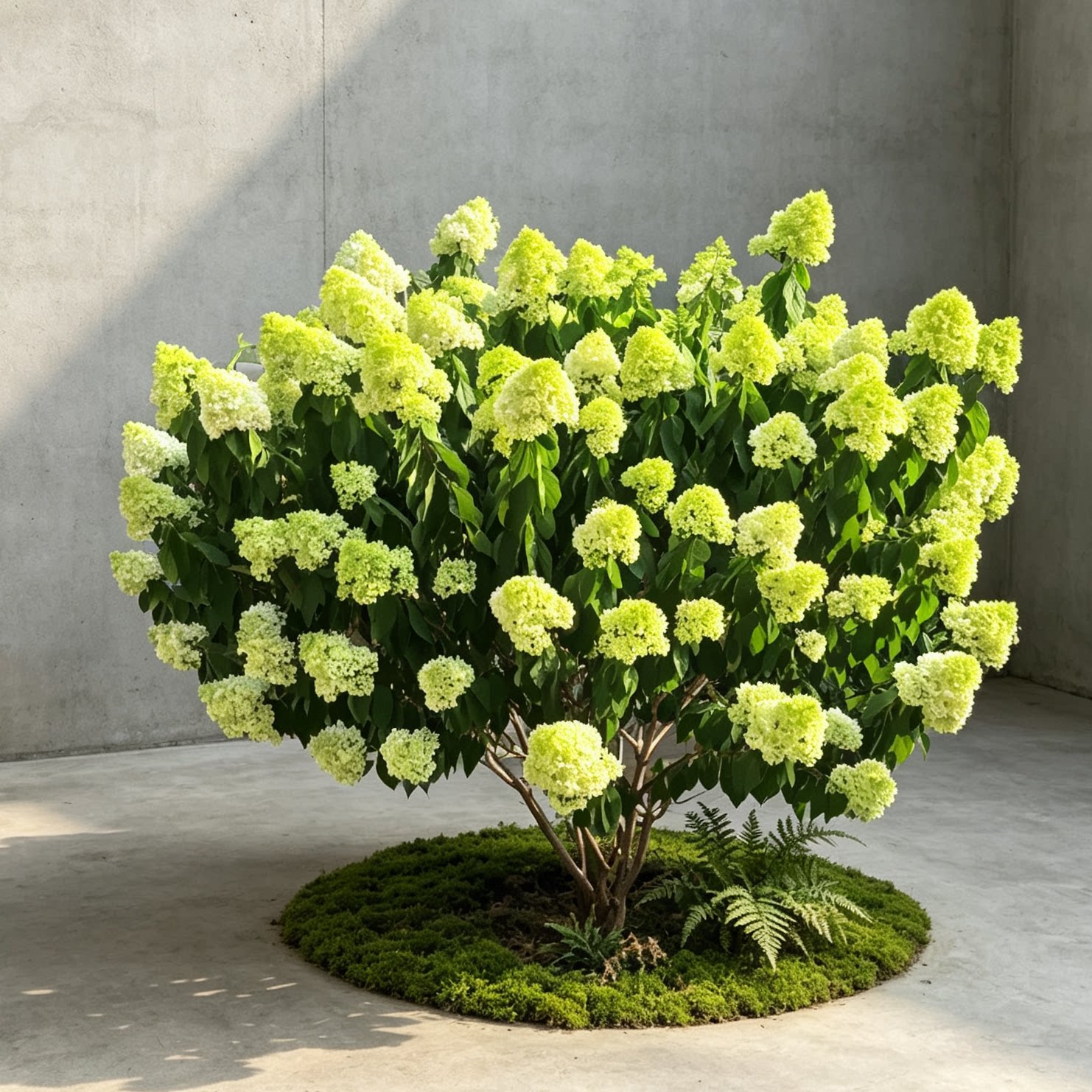 庆缘景观仿真木绣球花树图片